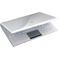 Asus EeePC 1002H với bàn phím Chicl