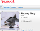 Yahoo Profiles - nền tảng thay thế 360 cho người dùng VN? 